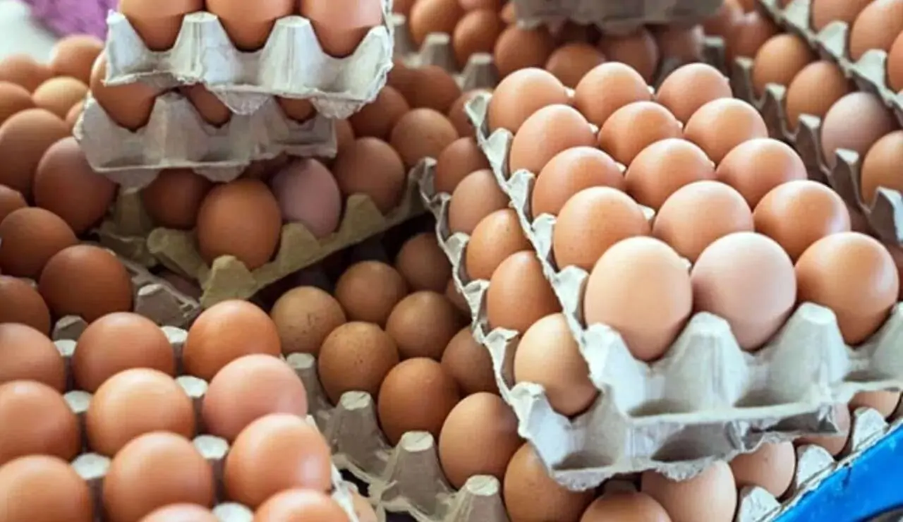 صحون البيض تتكدس على الطرقات.. والسبب وفرة الإنتاج مع توقع زيادته