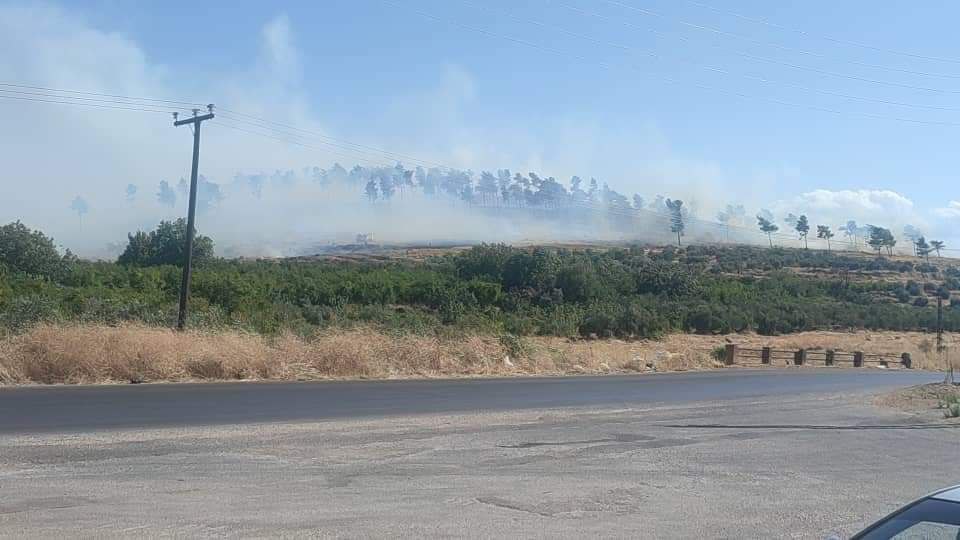 حريق يطول غابات الصنوبر  في أراضي قرية ربعو بريف مصياف.. والعمل جارٍ  لإخماده